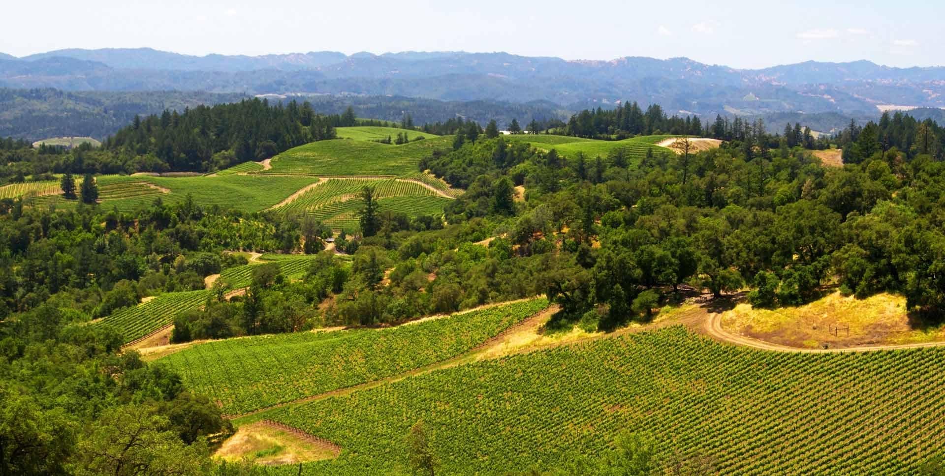 How To Plan A Trip To Sonoma Valley?